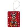 Biewer Terrier Holiday Christmas Porcelain Ornament Christmas Tree Hanging Decorations for Home Christmas Holiday, Rectangle, Gift, Multicolor