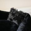 The Divine Dog Bed